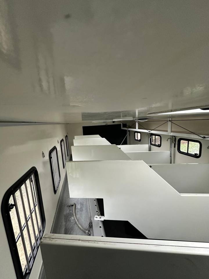 Camion per Cavalli Mercedes MERCEDES-BENZ ATEGO 1529 JL INTERNATIONAL 7 2008 Occasione