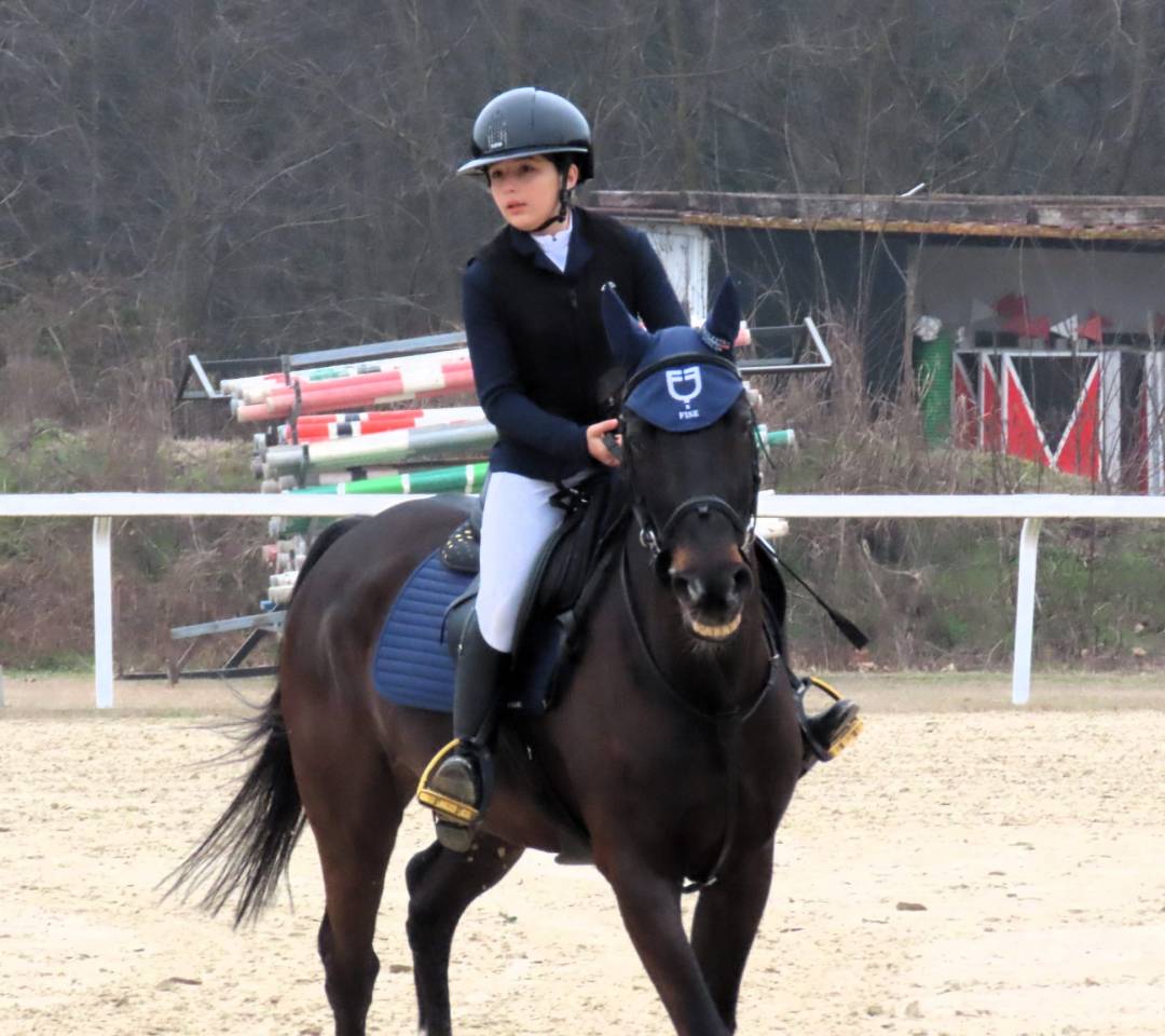 Pony 11 anni castrone 