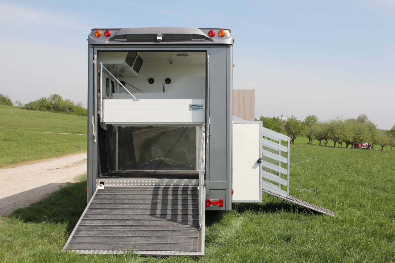 Camion per Cavalli Iveco IVECO DAILY 70C21 WMS POP OUT 2026 Nuovo