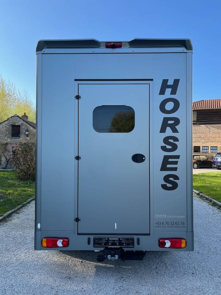 Van per Cavalli Nissan NISSAN INTERSTAR DCI 165 MSG STALLION LIGHT 2026 Occasione
