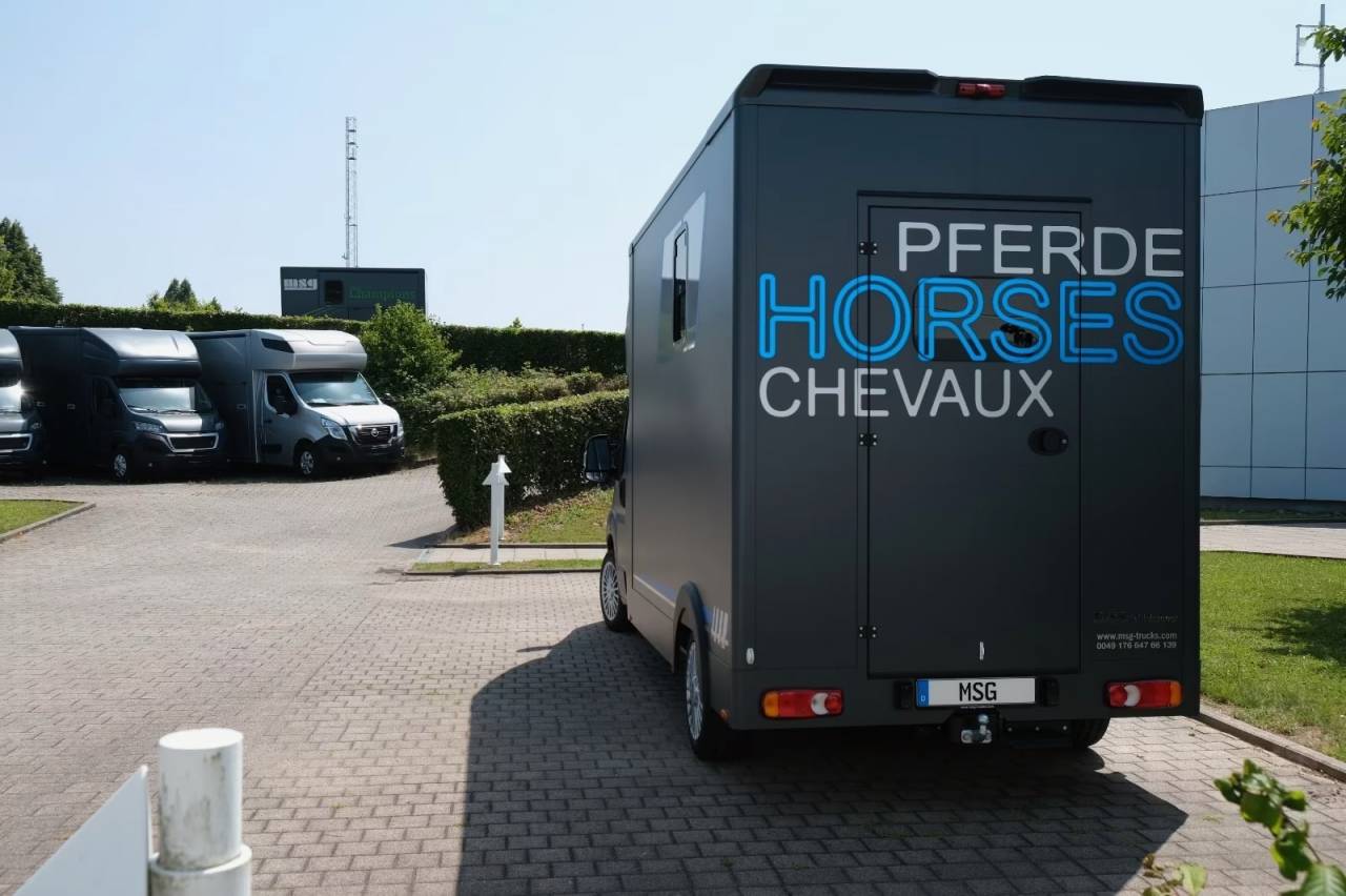 Van per Cavalli Peugeot PEUGEOT BOXER 165 MSG STALLION LIGHT NOUVEAU MODEL 2026 Nuovo