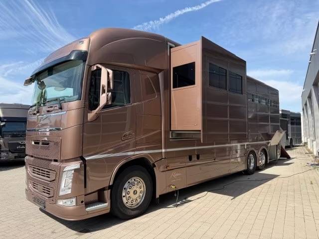 Camion per Cavalli Volvo VOLVO FH 500 ROELOFSEN RR6 POP OUT & PUSH UP 2016 Occasione