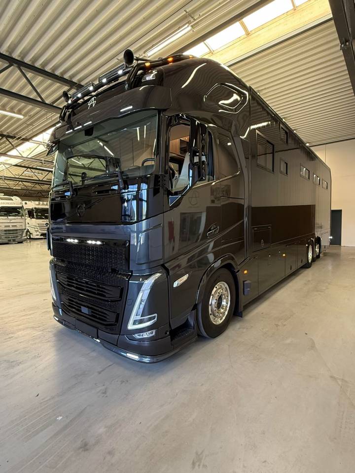 Camion per Cavalli Volvo VOLVO FH 500 NF 8 HORSES 2025 Occasione