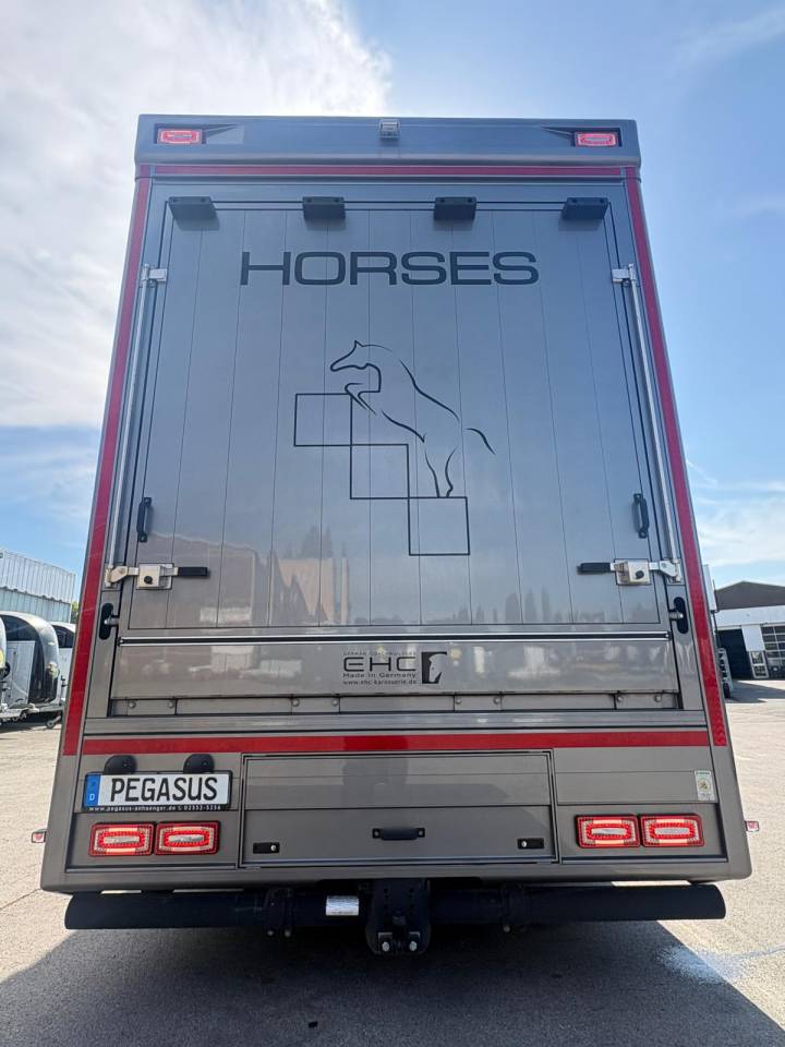 Camion per Cavalli Scania SCANIA S500 EHC POP OUT 2020 Occasione