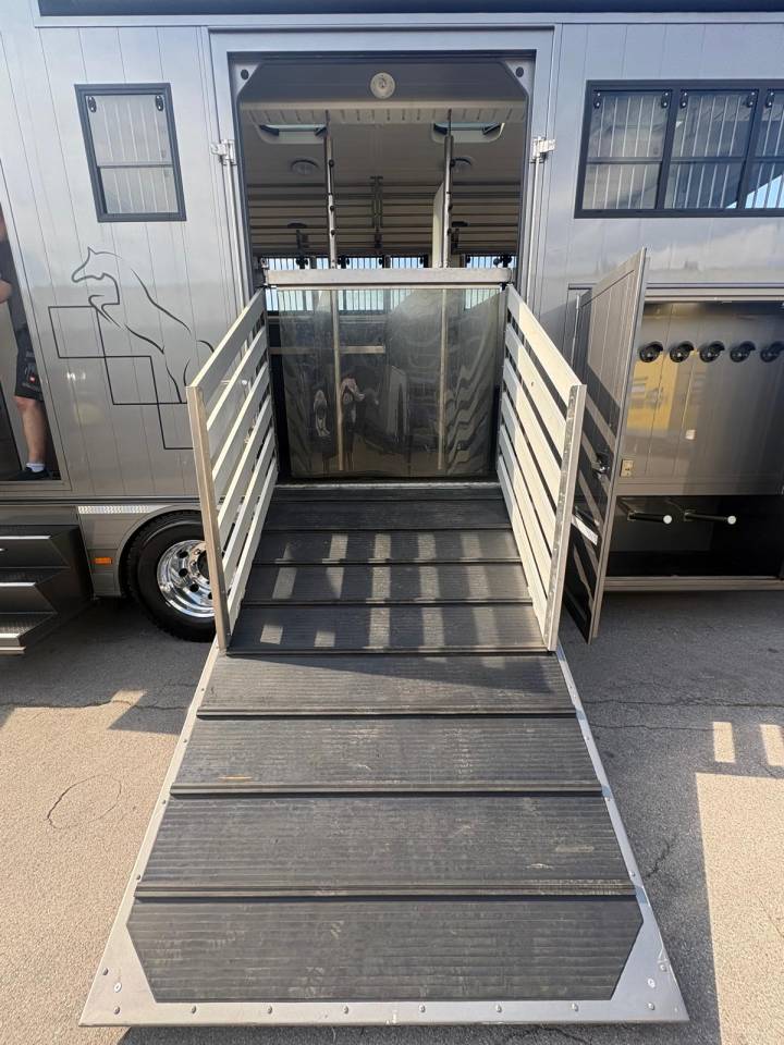 Camion per Cavalli Scania SCANIA S500 EHC POP OUT 2020 Occasione