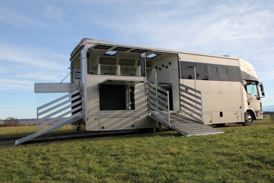 Camion per Cavalli Man MAN TGL 12.250 WMS POP OUT 2014 Occasione