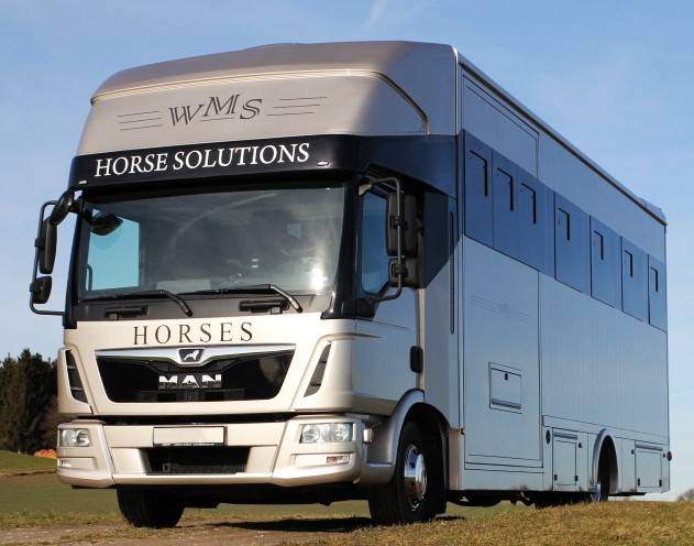Camion per Cavalli Man MAN TGL 12.250 WMS POP OUT 2014 Occasione