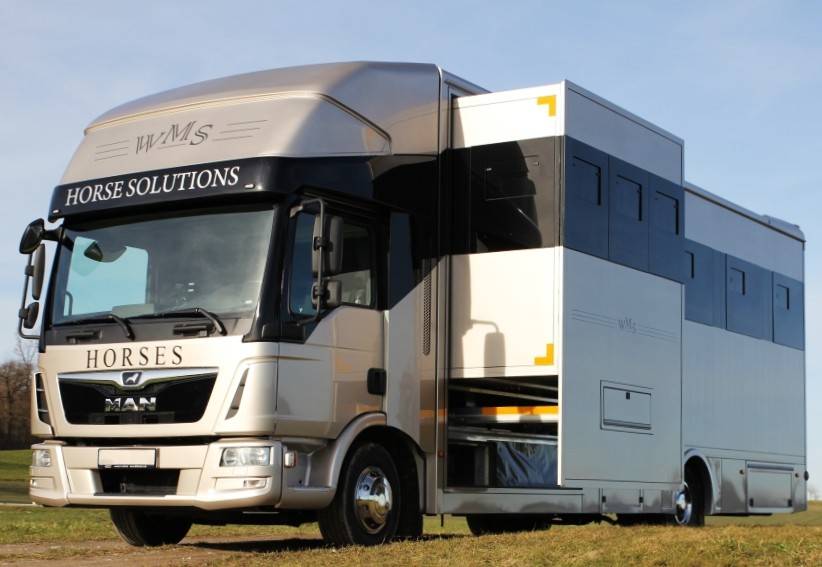 Camion per Cavalli Man MAN TGL 12.250 WMS POP OUT 2014 Occasione
