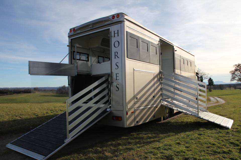 Camion per Cavalli Man MAN TGL 12.250 WMS POP OUT 2014 Occasione