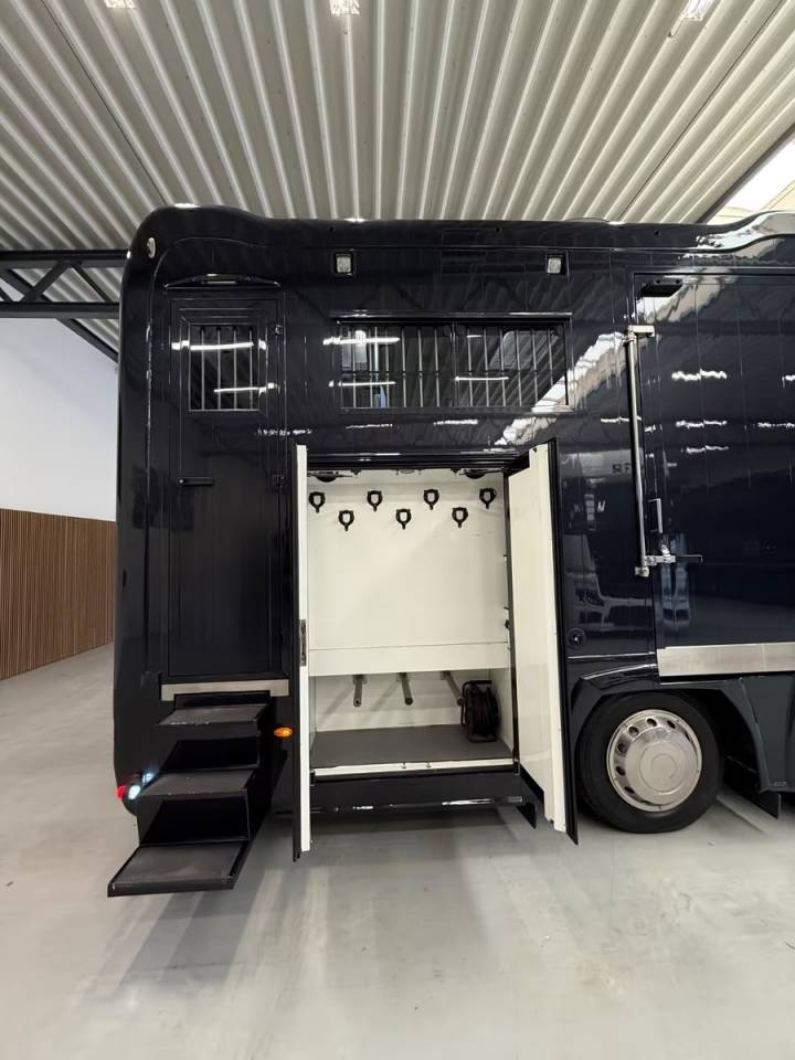 Camion per Cavalli Renault RENAULT MAGNUM 480 STX 5 HORSES POP OUT 2011 Occasione