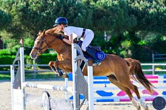 Cavalla PFS Pony Francese da Sella In vendita 2020 Sauro ,  Very star kerveyer