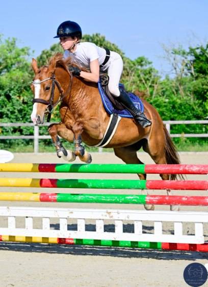 Cavalla PFS Pony Francese da Sella In vendita 2020 Sauro ,  Very star kerveyer