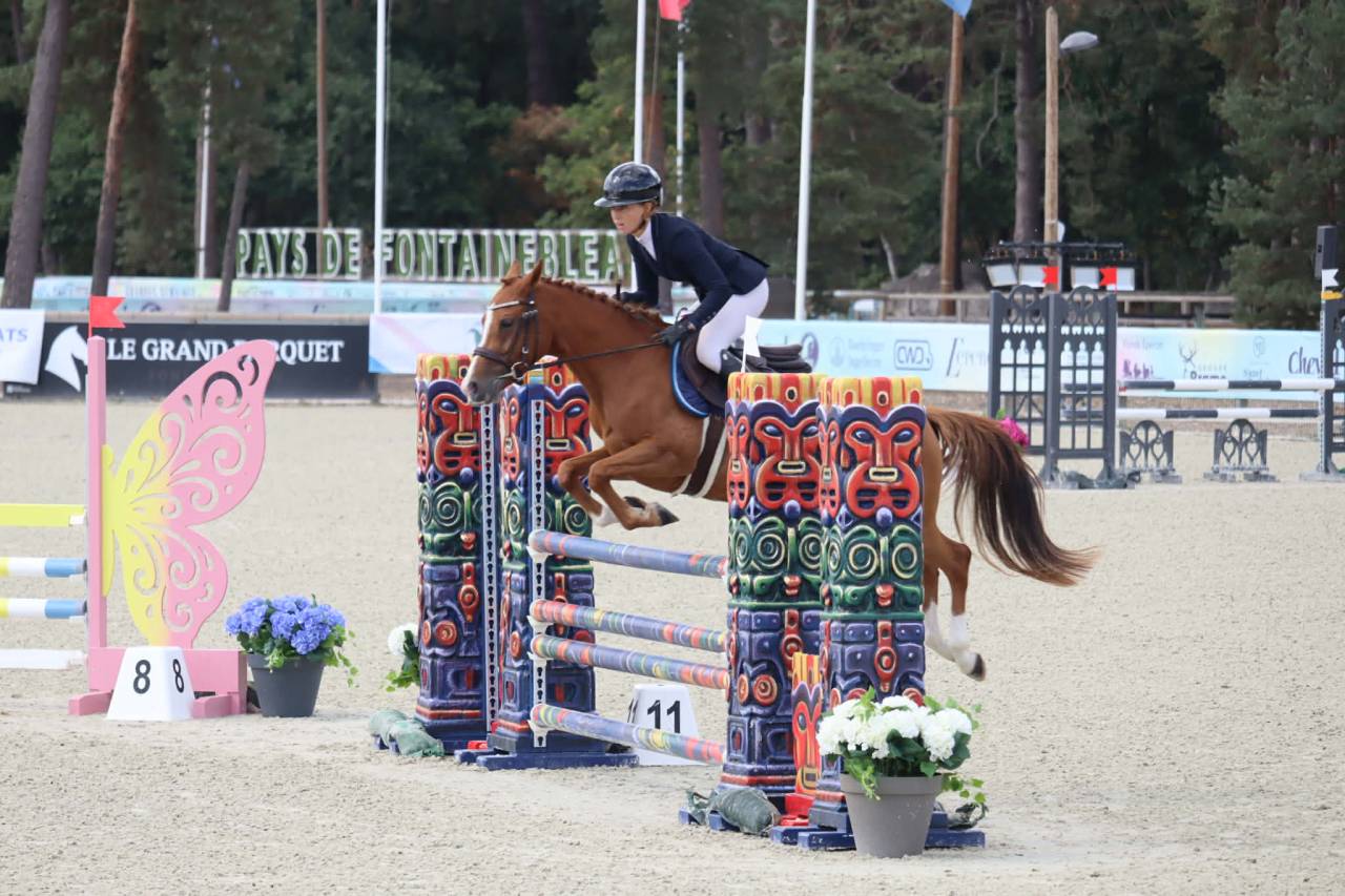 Cavalla PFS Pony Francese da Sella In vendita 2020 Sauro ,  Very star kerveyer