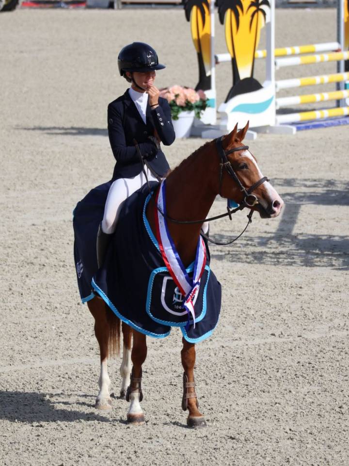 Cavalla PFS Pony Francese da Sella In vendita 2020 Sauro ,  Very star kerveyer