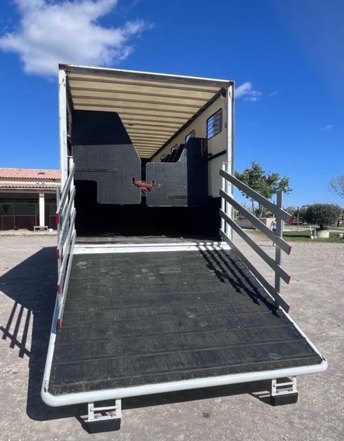 Camion per Cavalli Renault D 280 2018 Occasione