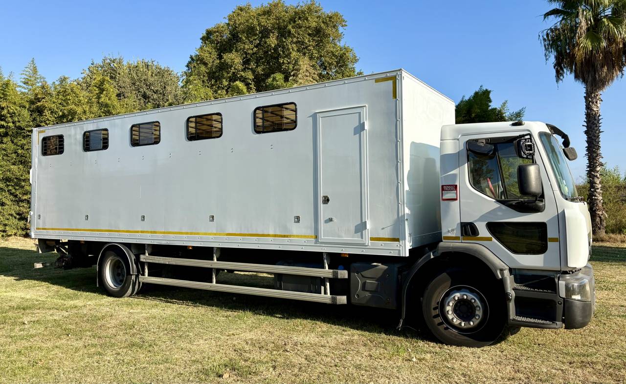 Camion per Cavalli Renault D 280 2018 Occasione