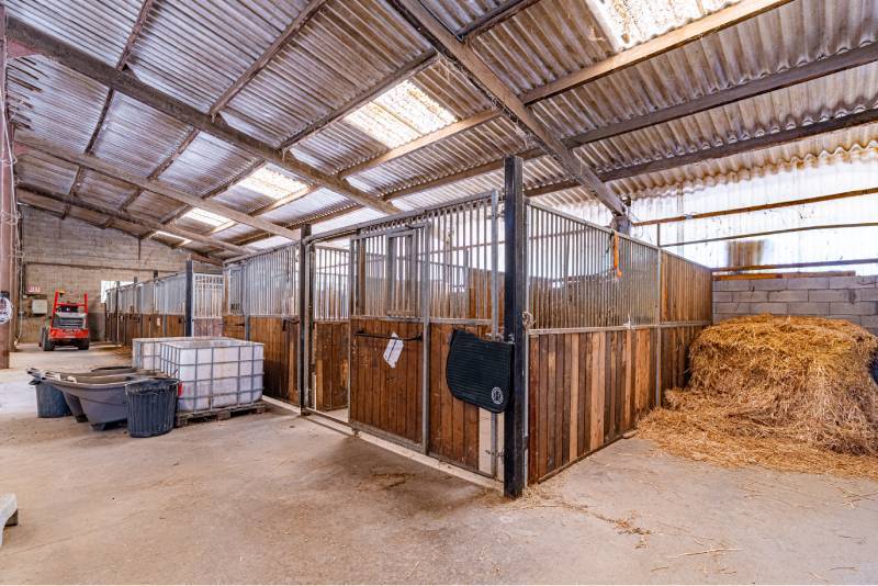 Propriet&agrave; equestre In vendita Is&egrave;re