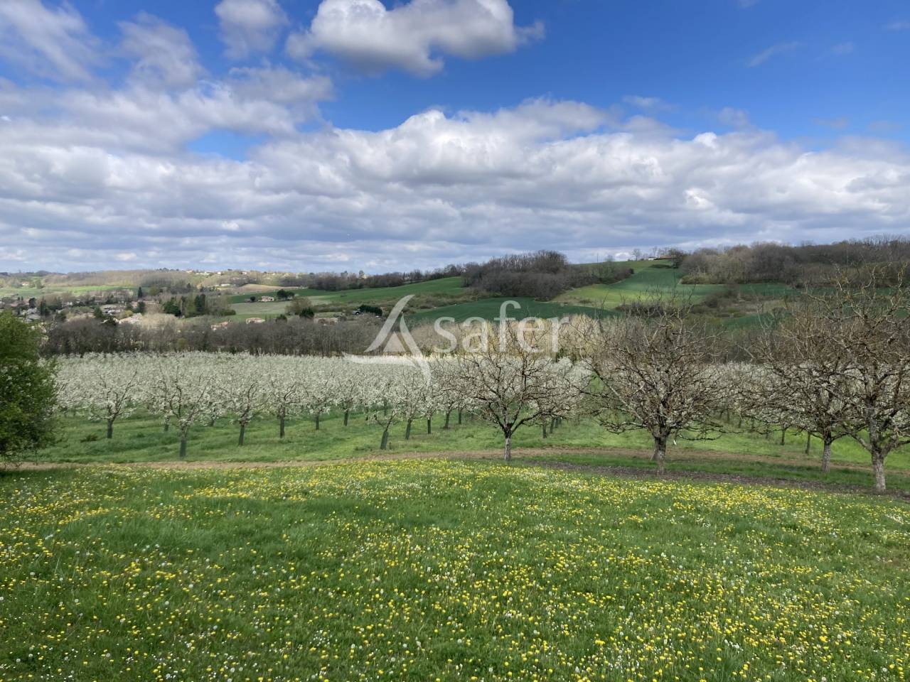 Azienda agricola In vendita Lot-et-Garonne