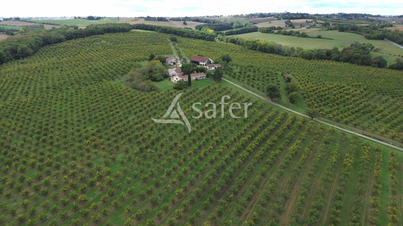 Azienda agricola In vendita Lot-et-Garonne