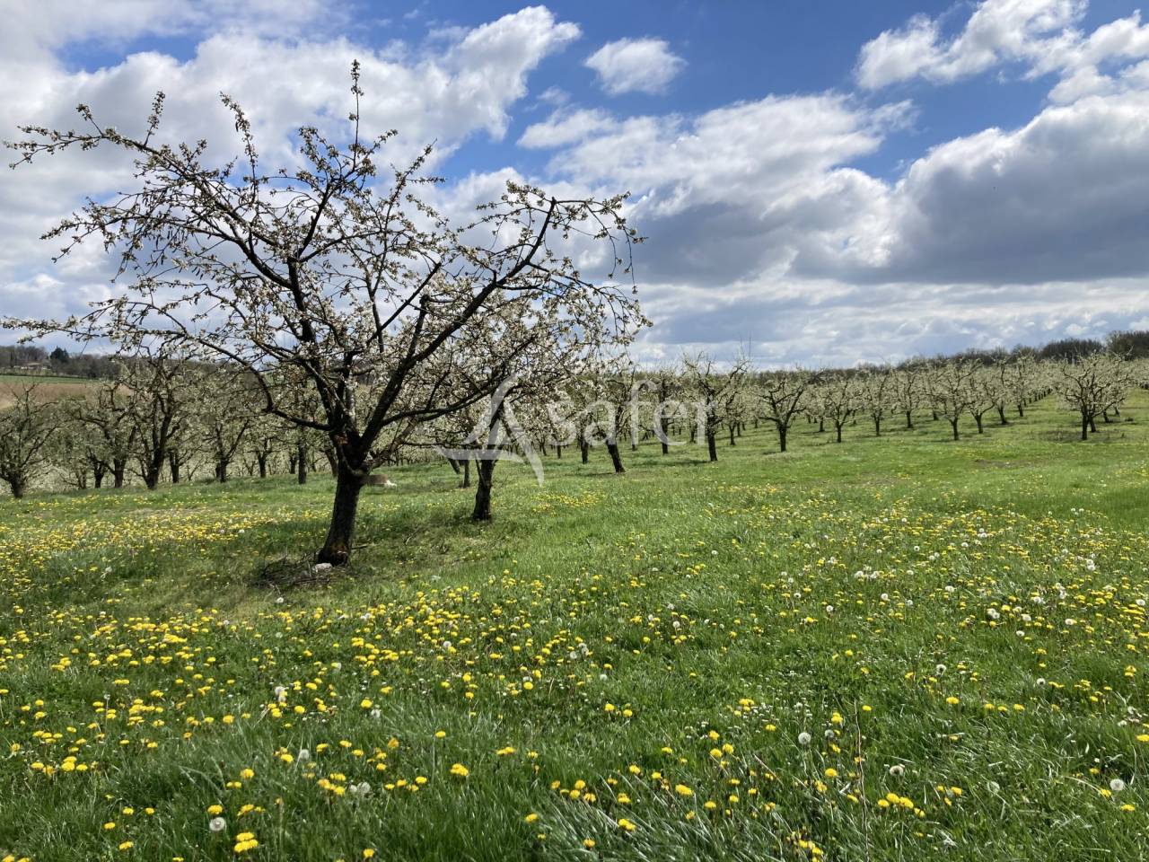 Azienda agricola In vendita Lot-et-Garonne