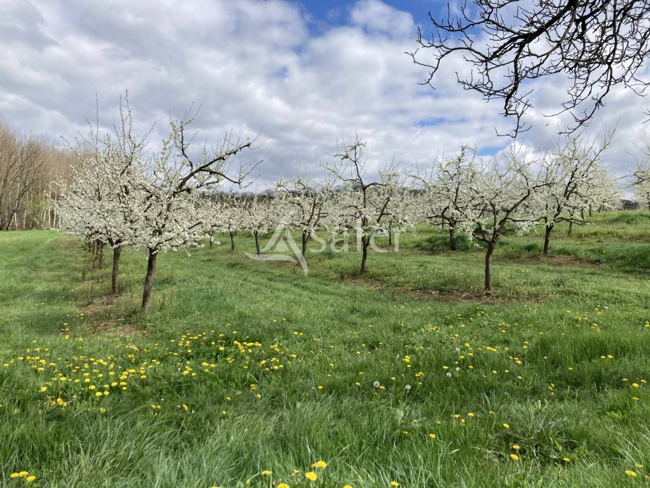Azienda agricola In vendita Lot-et-Garonne
