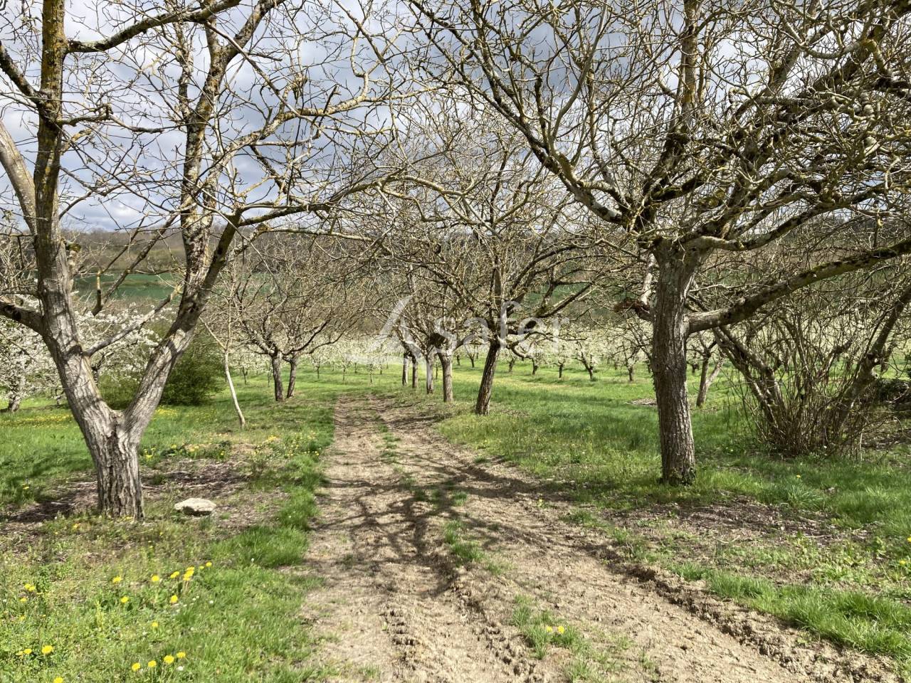 Azienda agricola In vendita Lot-et-Garonne