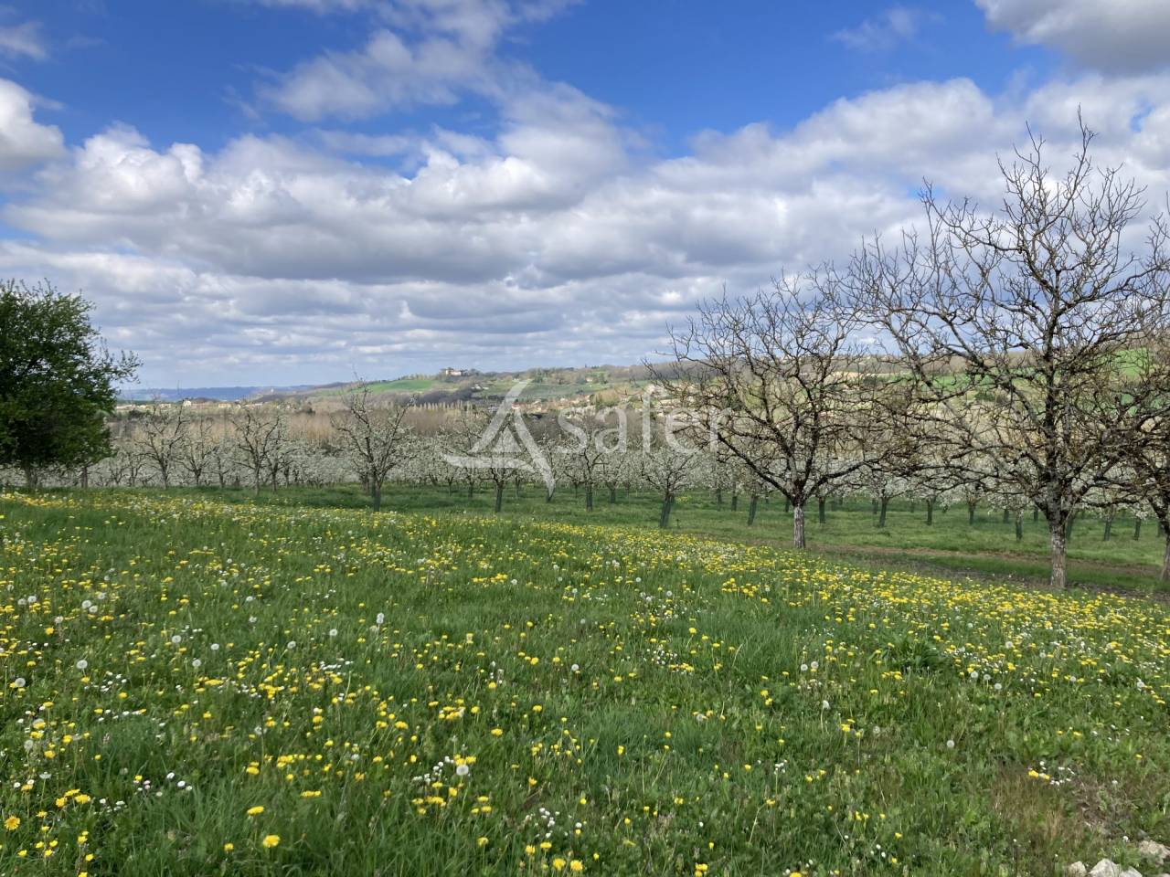 Azienda agricola In vendita Lot-et-Garonne