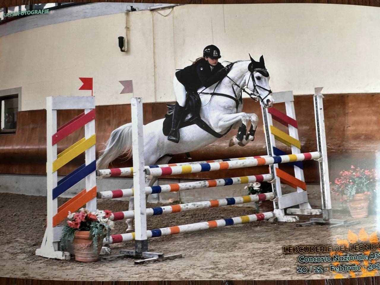 PONY STRAORDINARIO