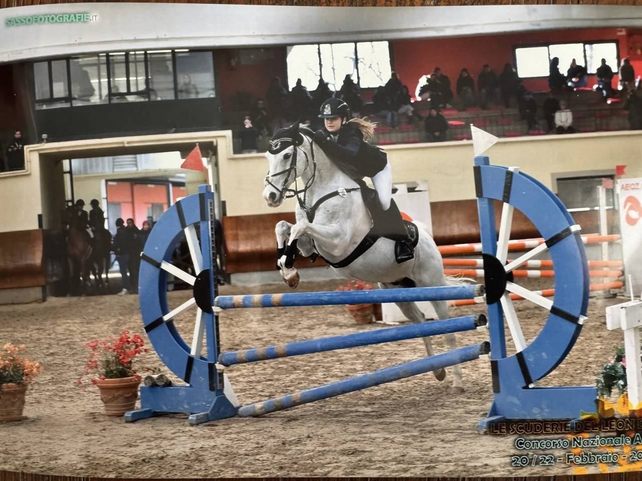 PONY STRAORDINARIO