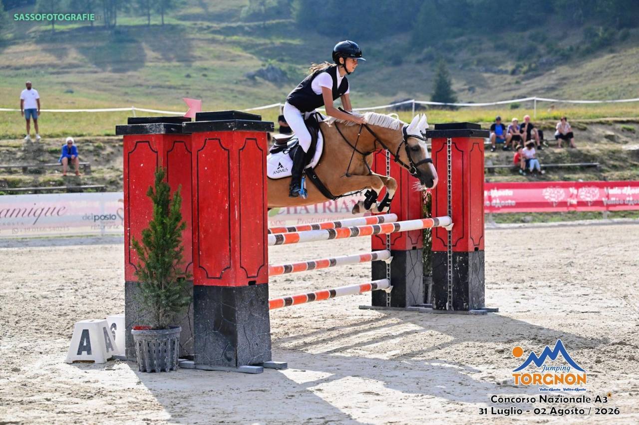 Magnifico pony 11 anni