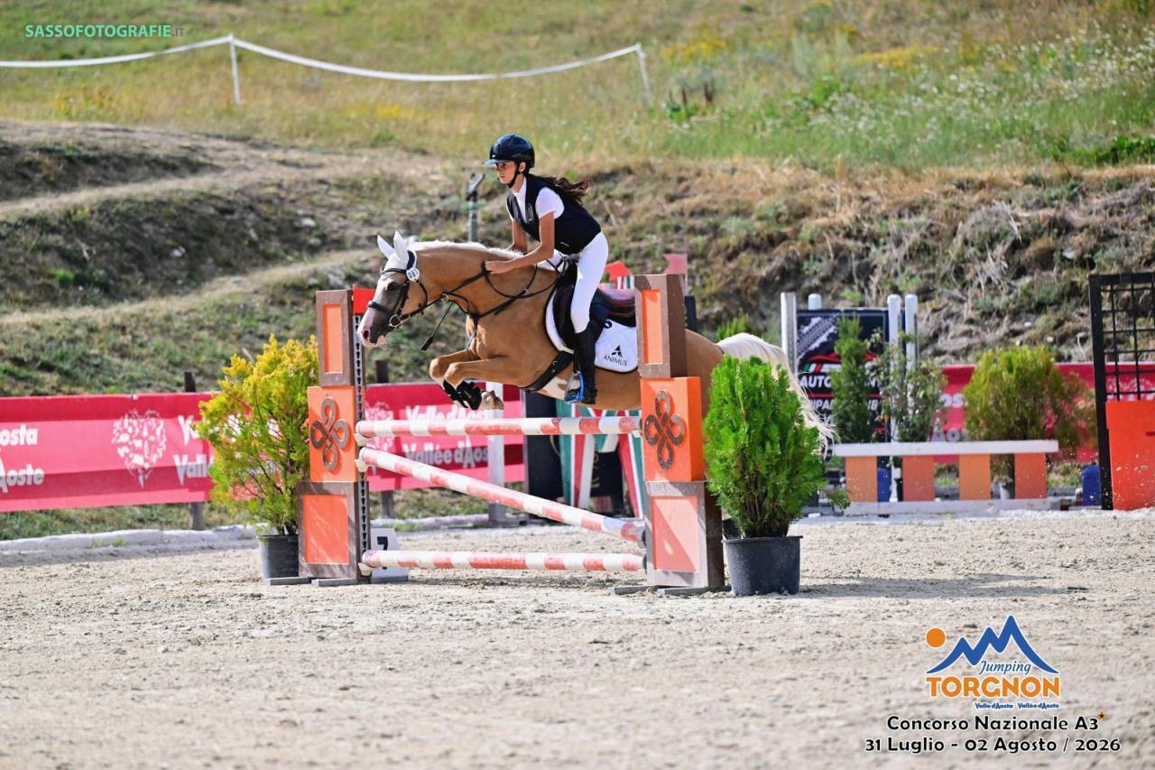 Magnifico pony 11 anni