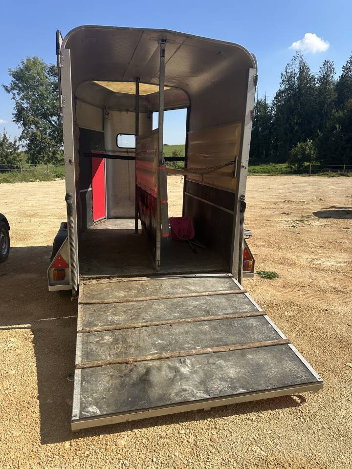 Trailer Ifor Williams HB505R 2 Cavalli 1986 Occasione