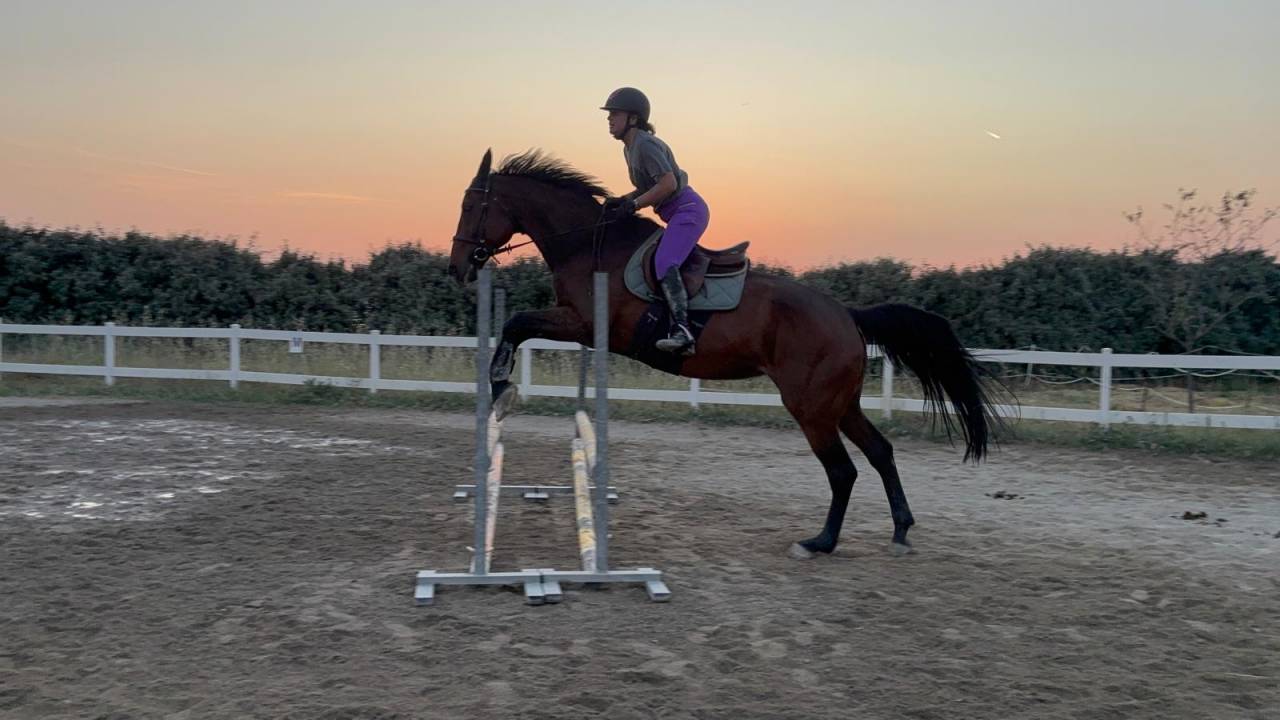 Cavalla SFR 2007 - Litchi Hoy x Ifie de Montsec