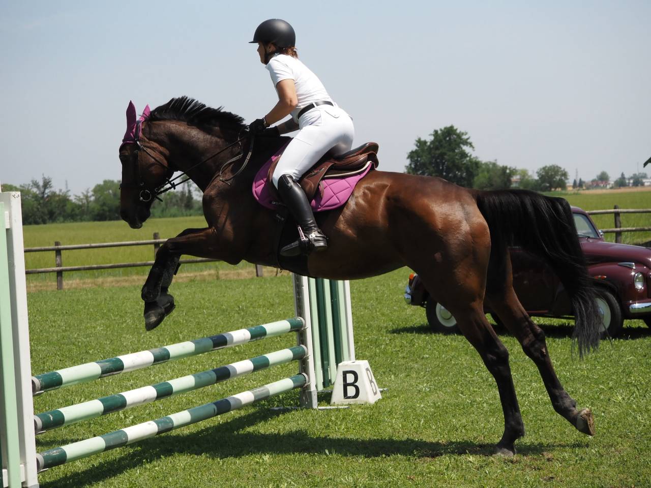 Cavalla SFR 2007 - Litchi Hoy x Ifie de Montsec