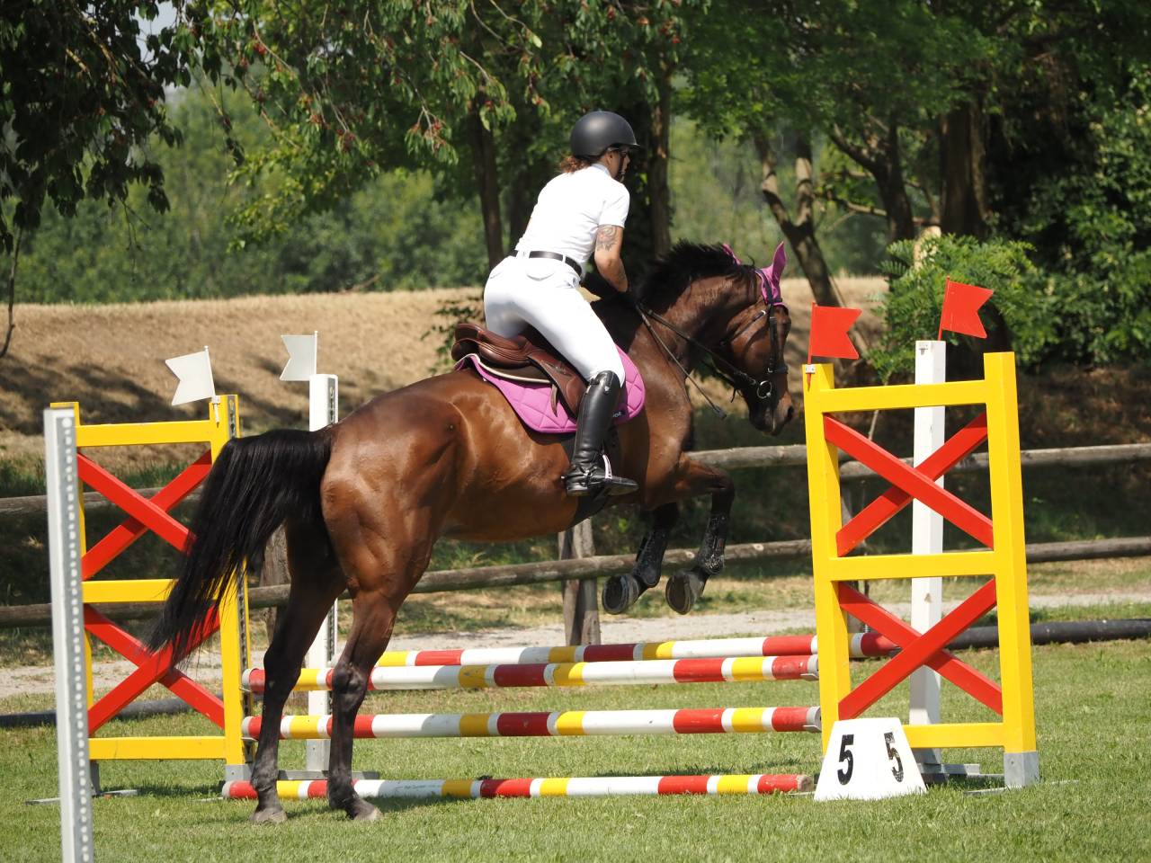 Cavalla SFR 2007 - Litchi Hoy x Ifie de Montsec