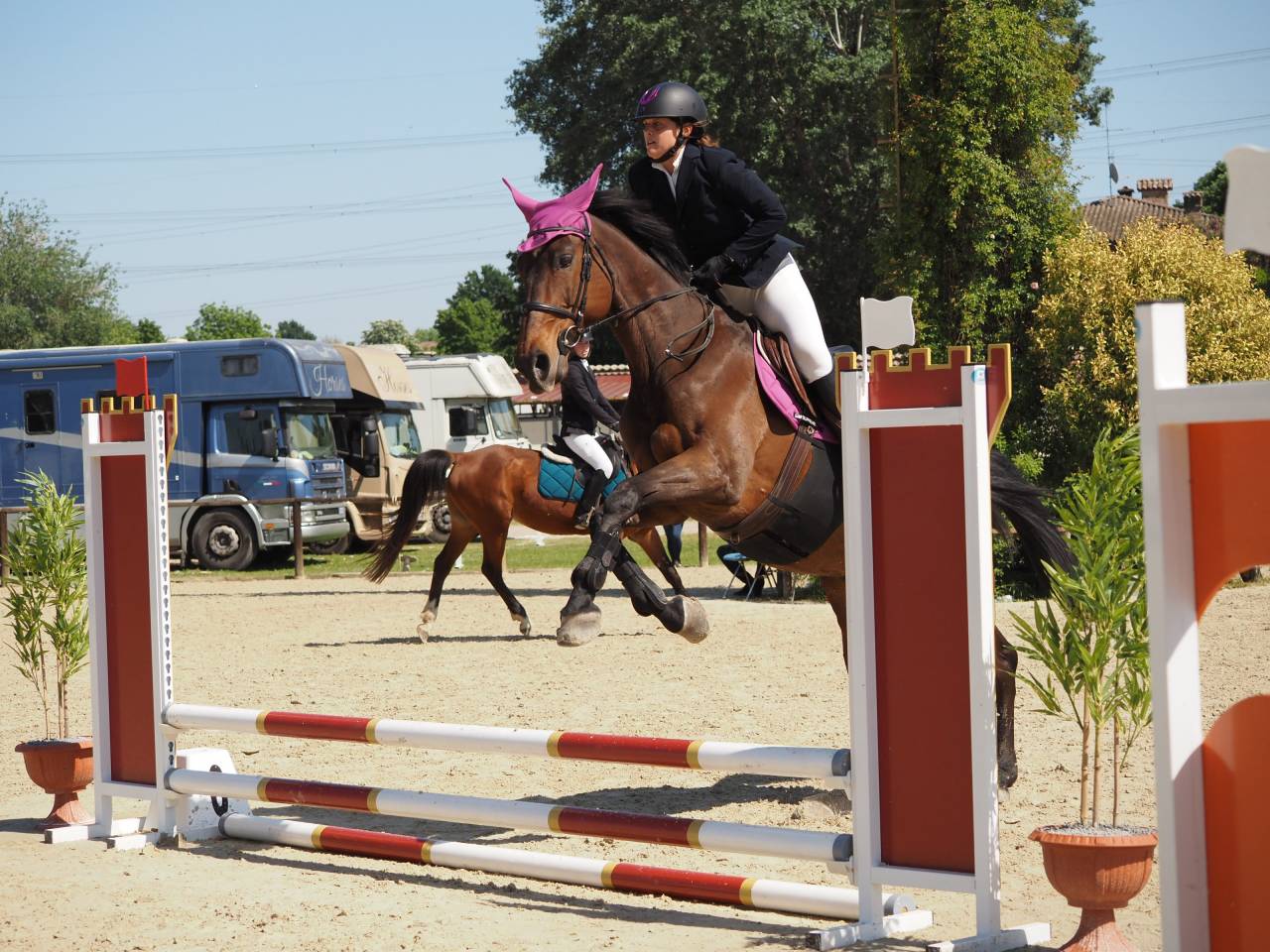 Cavalla SFR 2007 - Litchi Hoy x Ifie de Montsec