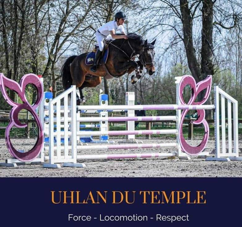 Cavalla Sella Francese In vendita 2023 Baio ,  ULHAN DU TEMPLE