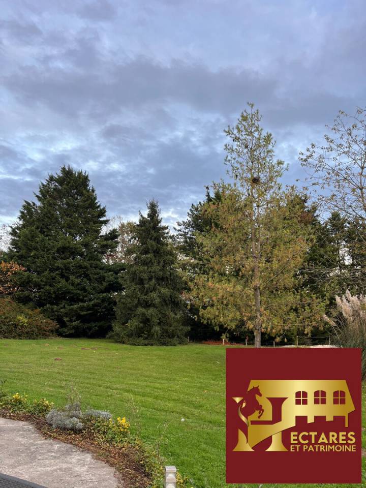 Propriet&agrave; equestre In vendita Essonne