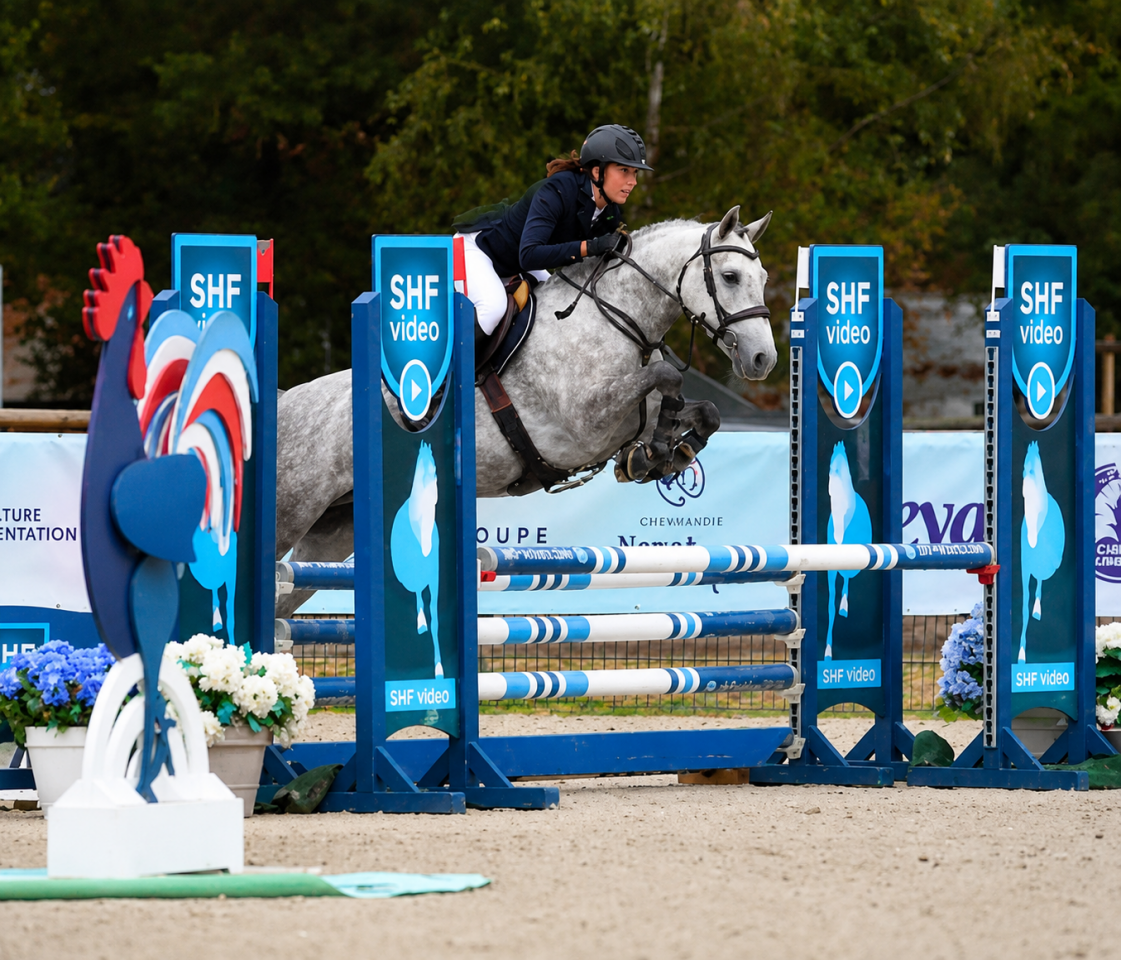Cavalla PFS Pony Francese da Sella In vendita 2022 Grigio