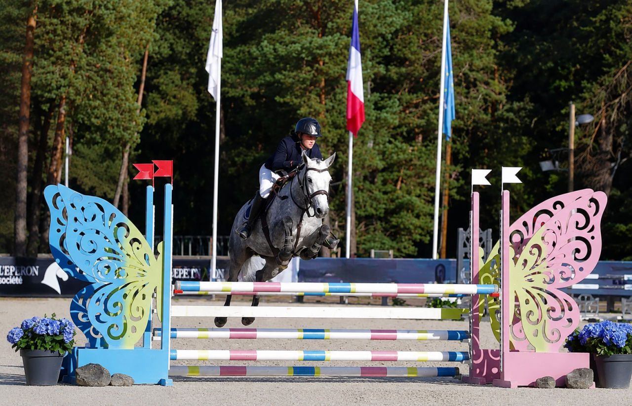Cavalla PFS Pony Francese da Sella In vendita 2022 Grigio