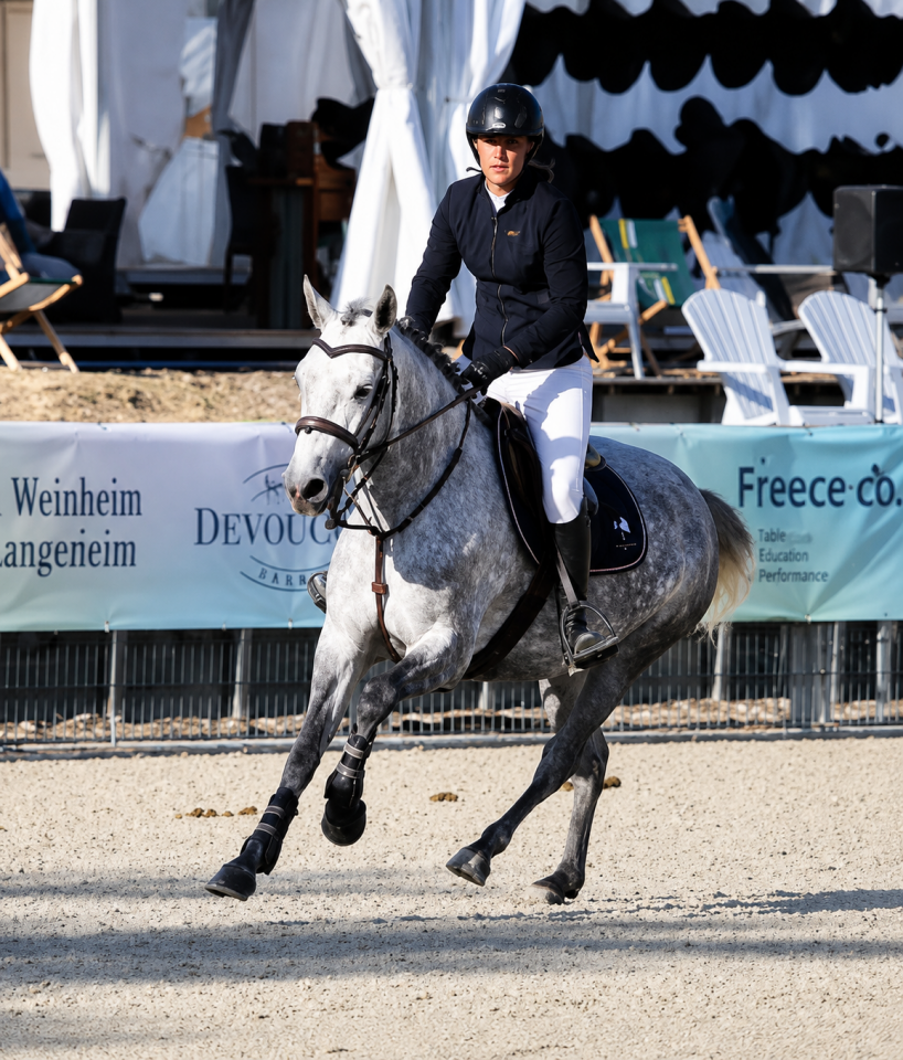 Cavalla PFS Pony Francese da Sella In vendita 2022 Grigio