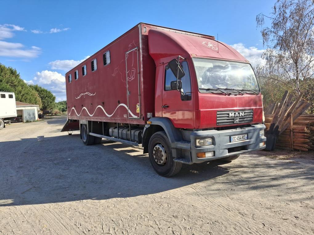 Camion per Cavalli Man x 2001 Occasione