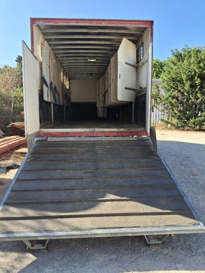 Camion per Cavalli Man x 2001 Occasione