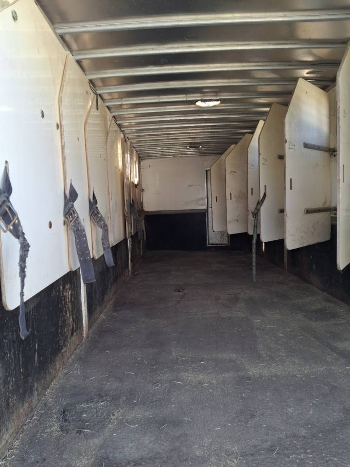 Camion per Cavalli Man x 2001 Occasione