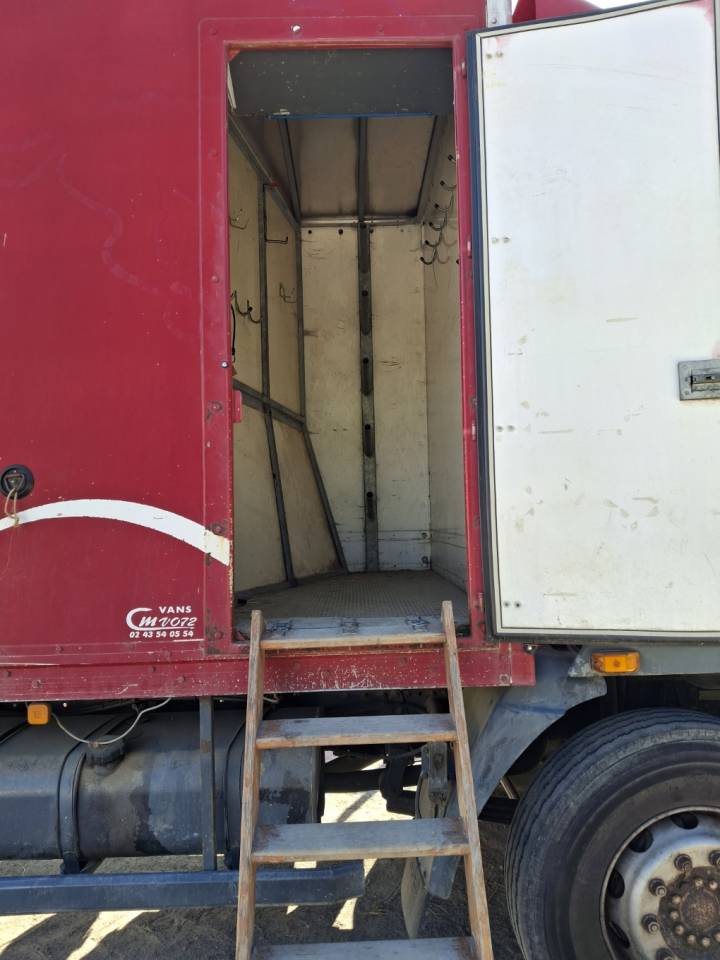 Camion per Cavalli Man x 2001 Occasione