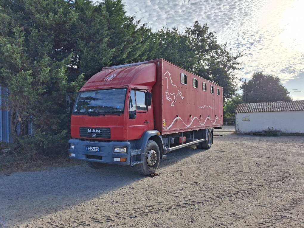 Camion per Cavalli Man x 2001 Occasione