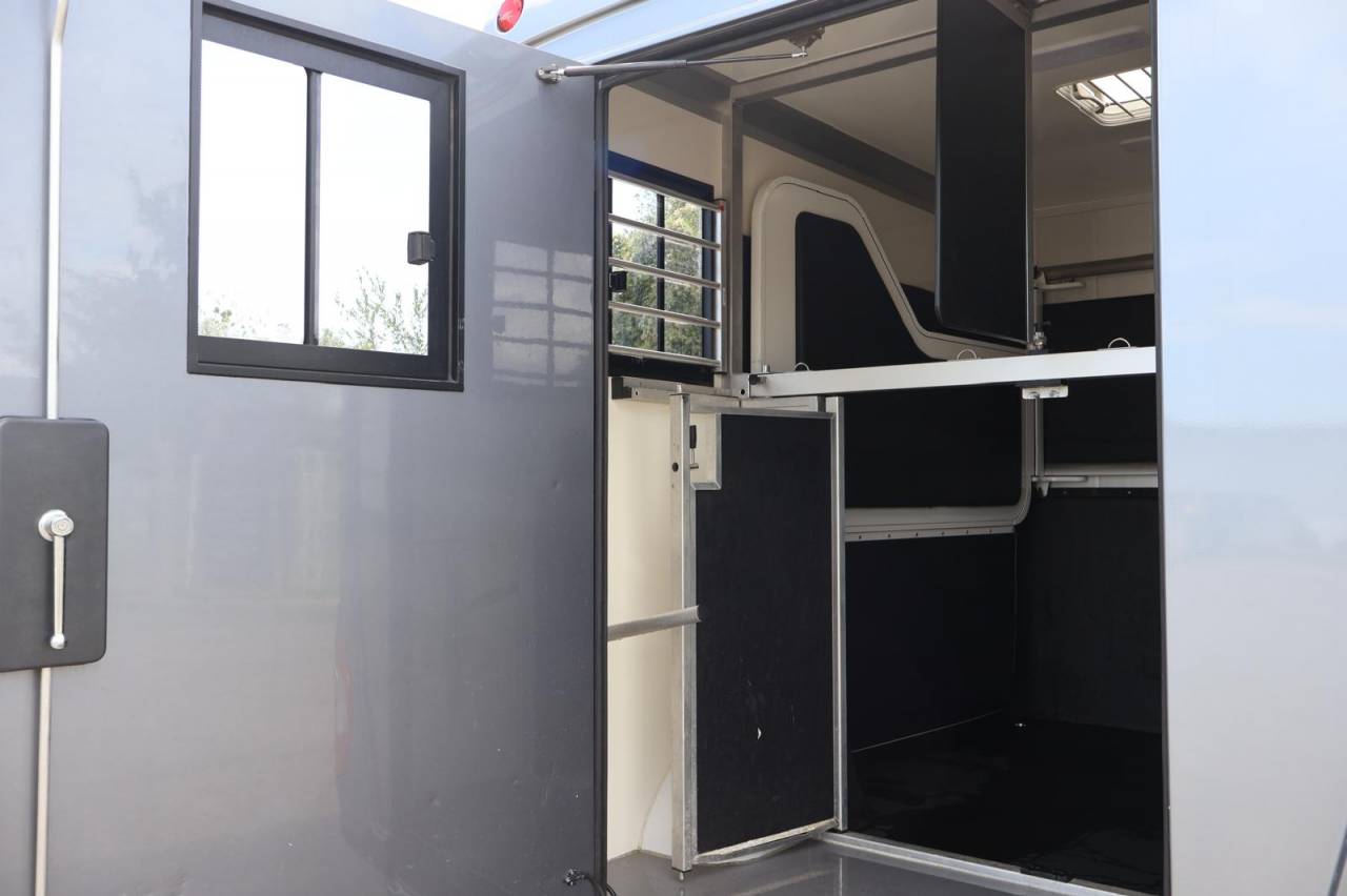 Van per Cavalli STX STX 2022 Occasione