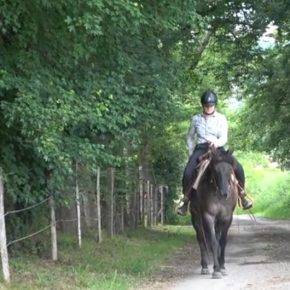 Cavalla Quarter Horse In vendita 2020 Grullo ,  JAZ GC DE PLATA
