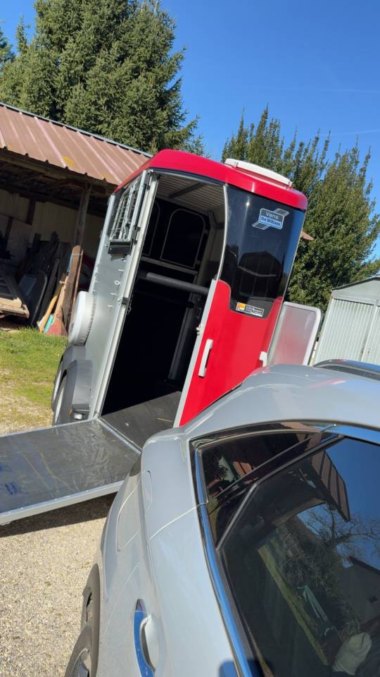 Trailer Ifor Williams HBX 403 1,5 Cavalli 2024 Occasione
