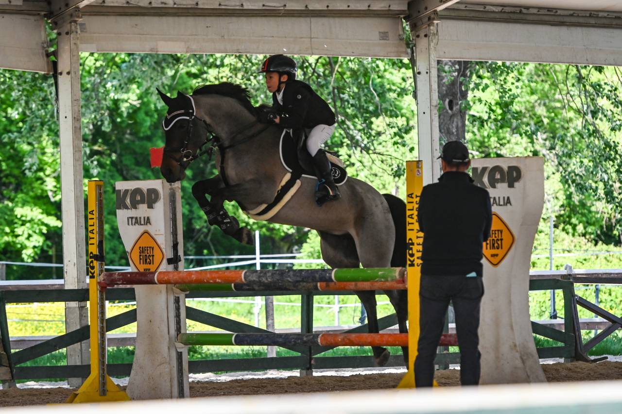 PONY SALTO OSTACOLI 